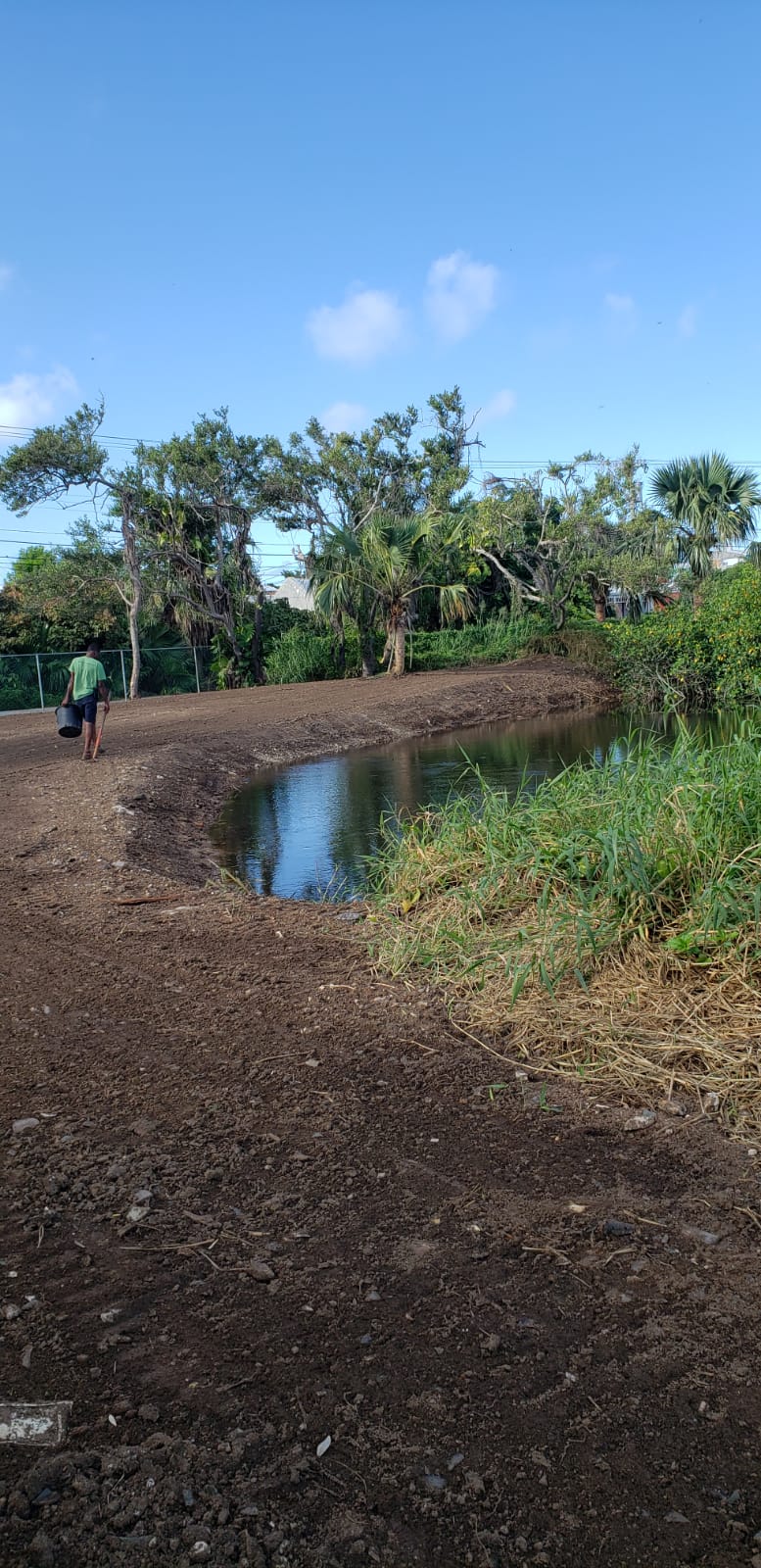 The edge of SLBW pond after clearing invasive plants